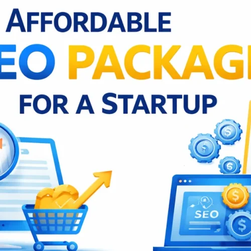 Affordable SEO package for a startup promotional graphic with blue and yellow theme, featuring SEO analytics illustrations, growth charts, magnifying glass, and digital marketing elements on a clean background.
