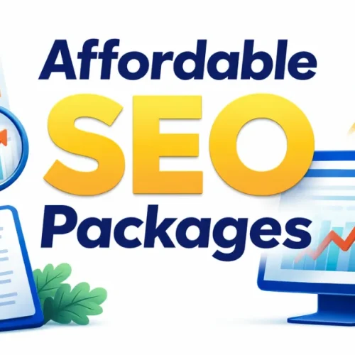 Colorful graphic of affordable small business SEO packages with charts, magnifier, and rocket for growth and analysis