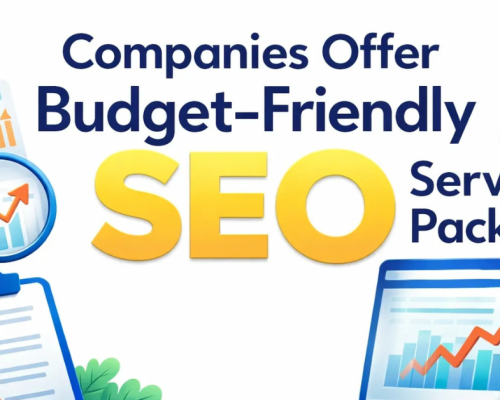 Companies offer budget-friendly SEO service packages illustration featuring a clipboard checklist, analytics charts, magnifying glass, computer monitor with growth graph, target icon, and rocket symbol on a clean white background.